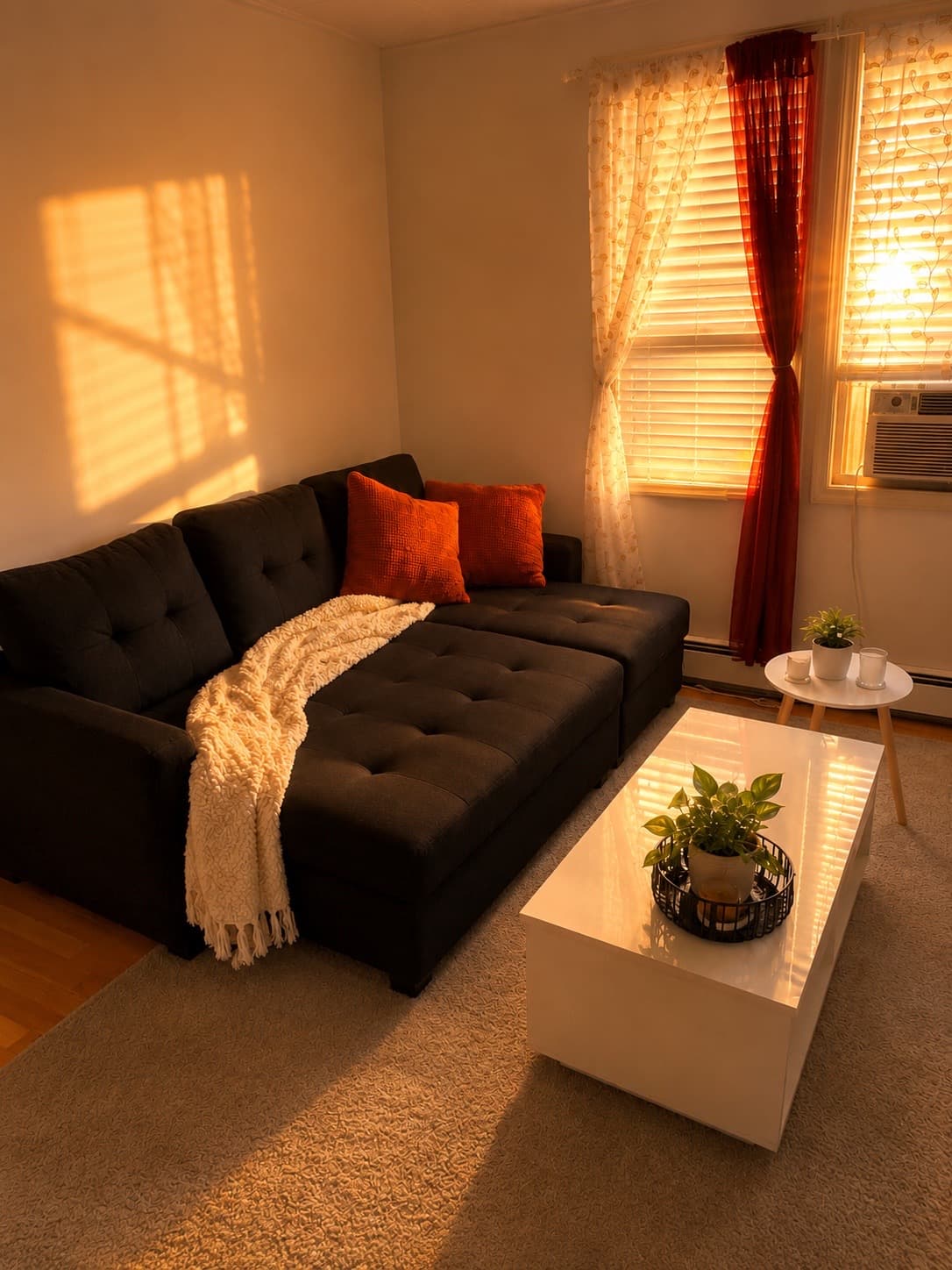 Living room couch open